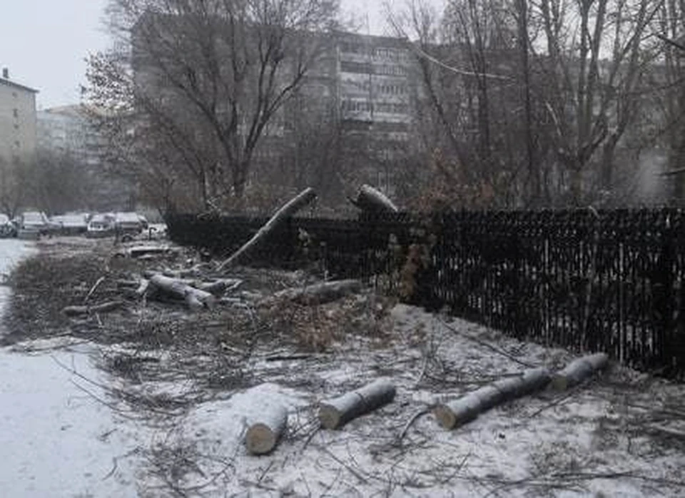 В Тюмени вырубили деревья рядом с детским садом. Фото: группа Вконтакте "ЧС Тюмень".