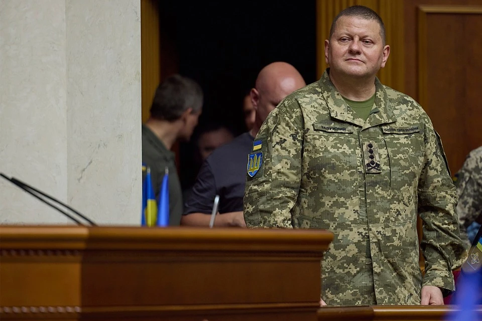 Зеленский гонит ВСУ в наступление, не считая потери. А главком Залужный ...