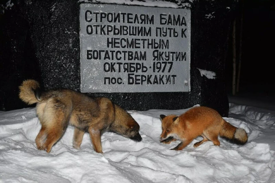 Фото: Юрий Коковин