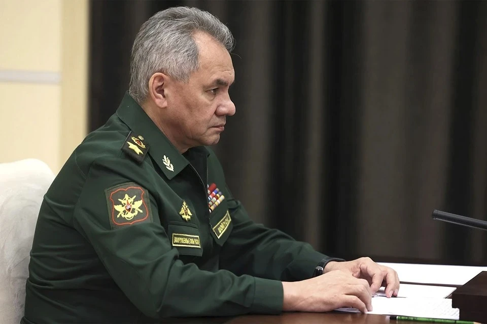 Шойгу прибыл в Минск на переговоры Путина и Лукашенко