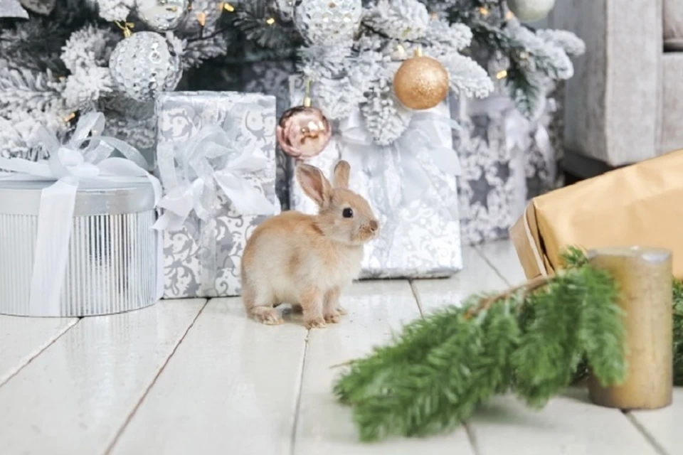 2023-й, мы ждем перемен к лучшему и позитивных новостей.