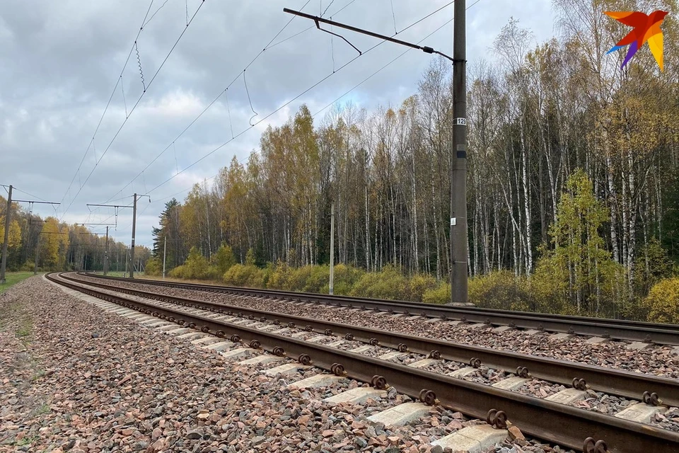 Стало известно, что поезд Минск - Гомель прибудет с опозданием в 2,5 часа. Фото: архив «КП»
