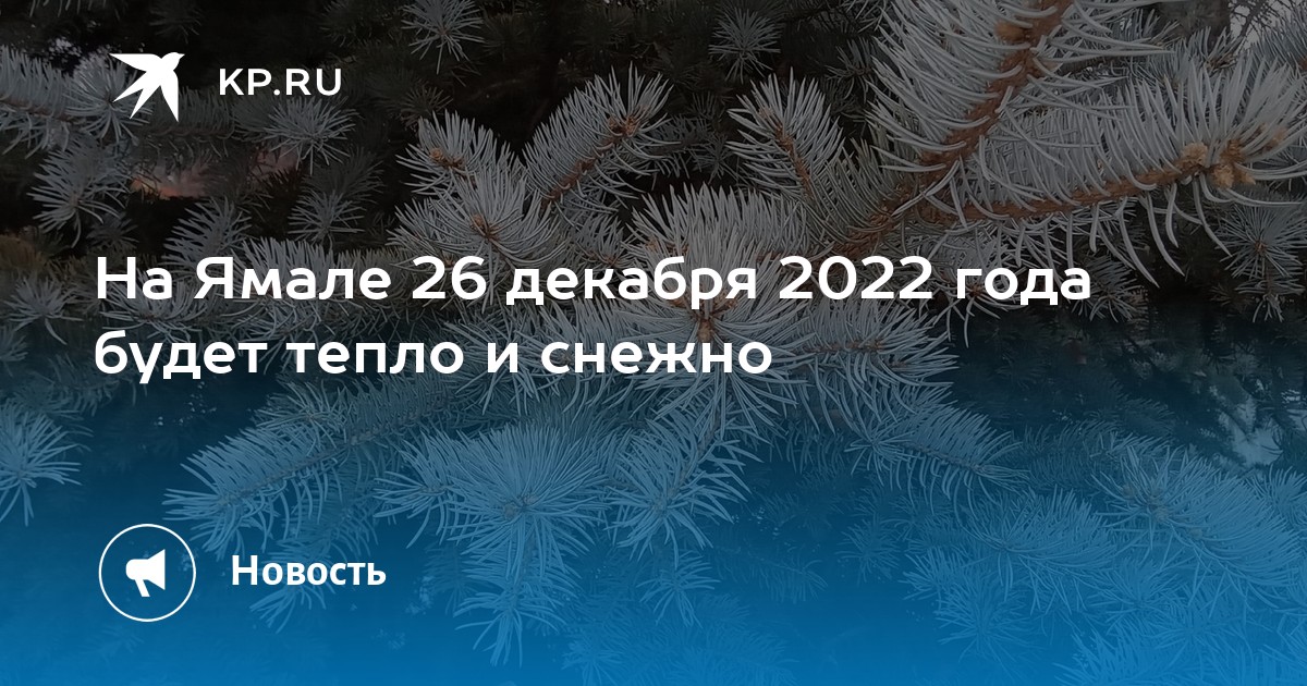 Про декабрь 2022