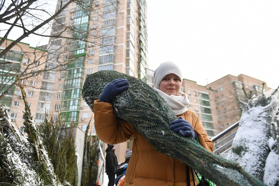 Хабаровчане меняют живые ели на искусственные