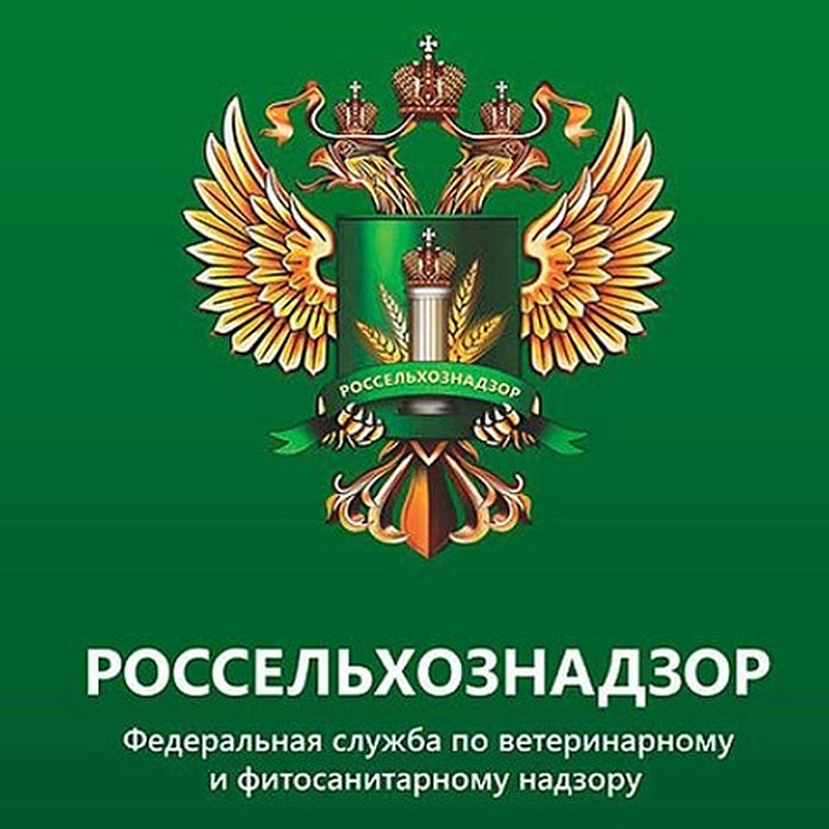 В Управлении Россельхознадзора по Омской области подвели итоги деятельности  за 2022 год - KP.RU