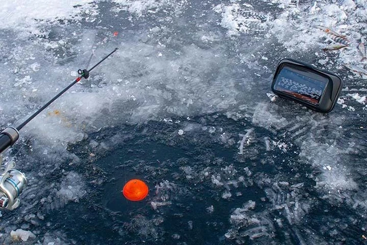 Лучшие эхолоты для зимней рыбалки