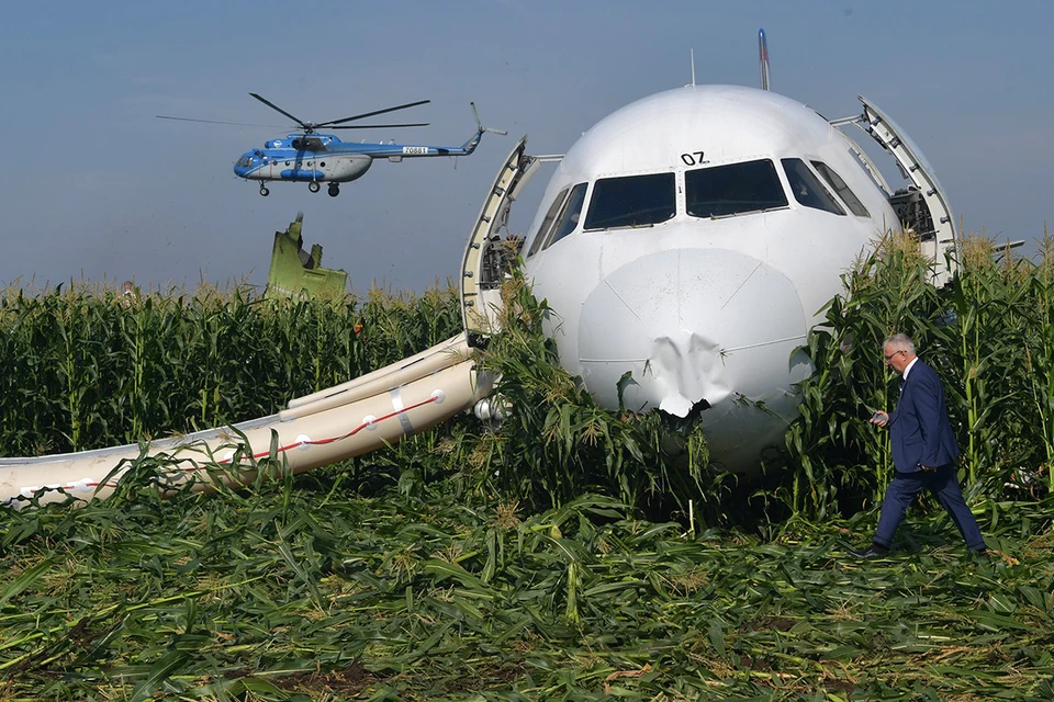 Август 2019 г. Самолет Airbus A321 авиакомпании `Уральские авиалинии`, который совершил аварийную посадку на кукурузное поле после возгорания двигателя.