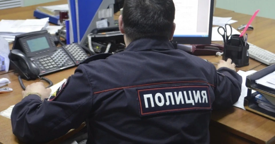 В полицию обратилась 82-летняя жительница Ульяновска