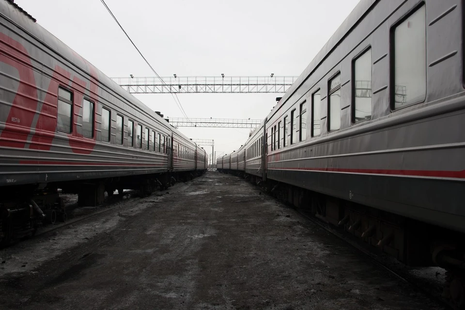 Куйбышевская железная дорога перевезла в 2022 году более 4 тысяч животных