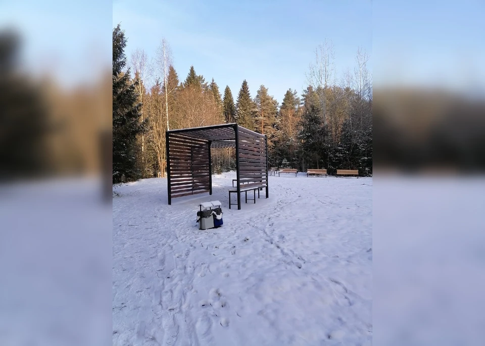 Фото: Типичные Березники/ВКонтакте
