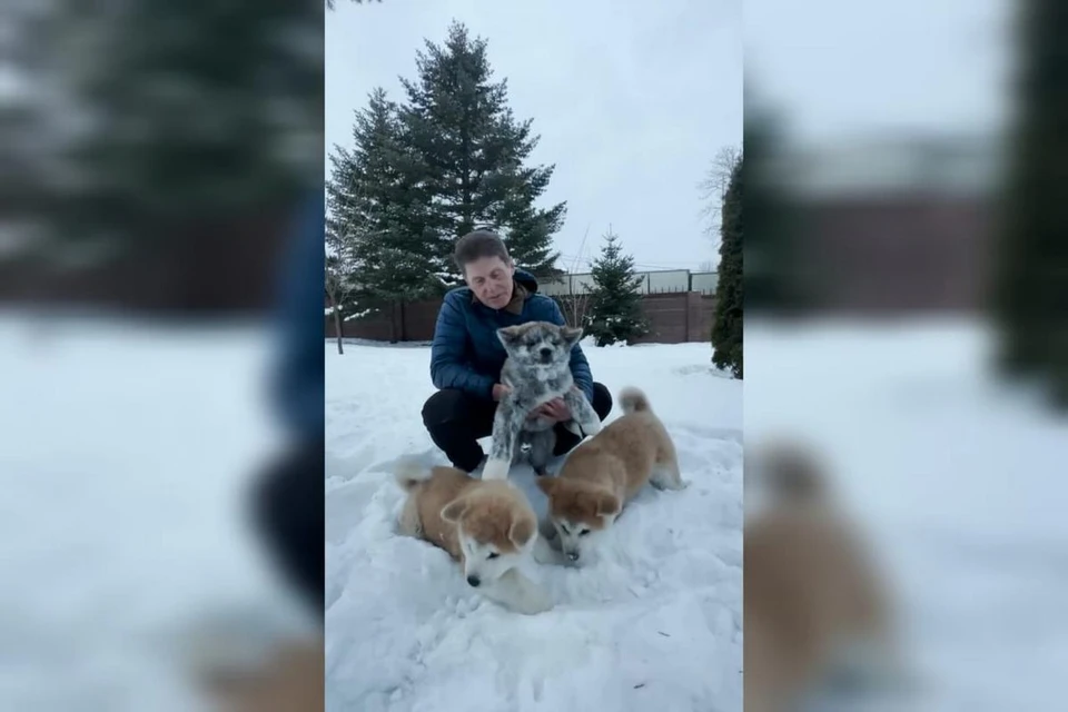 Щенки покорили сердца приморцев.