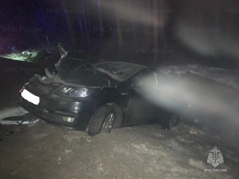 Авария произошла на дороге между Людиново и Брянском.
