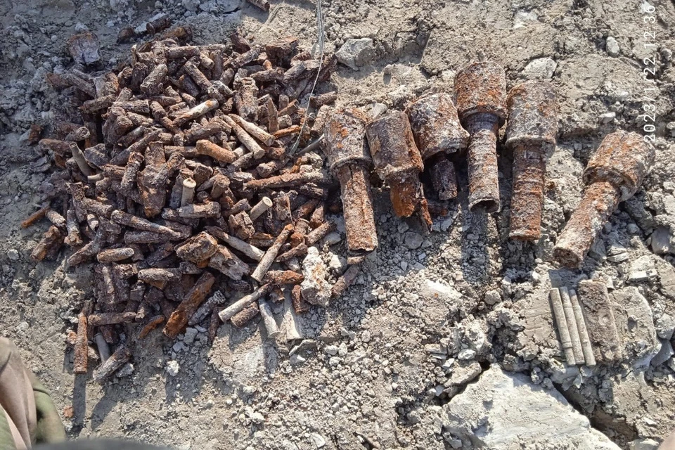 Поисковики извлекли шесть гранат РГД-33, шесть запалов и большое количество патронов Фото: ассоциация поисковых отрядов «Кубаньпоиск»