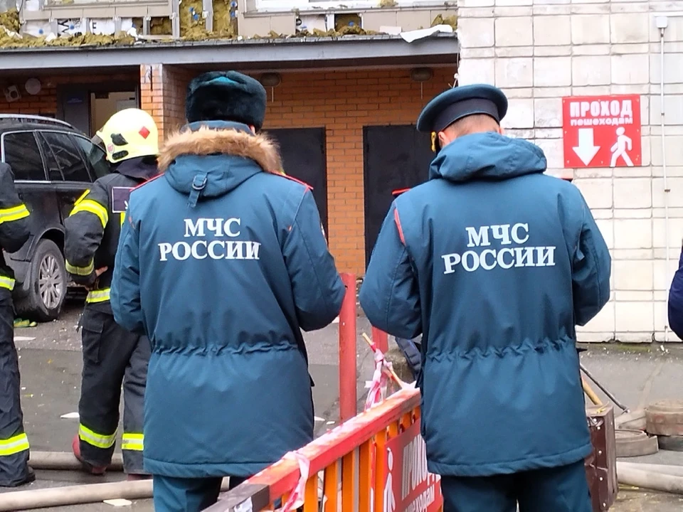 Фото: Густаво Зырянов