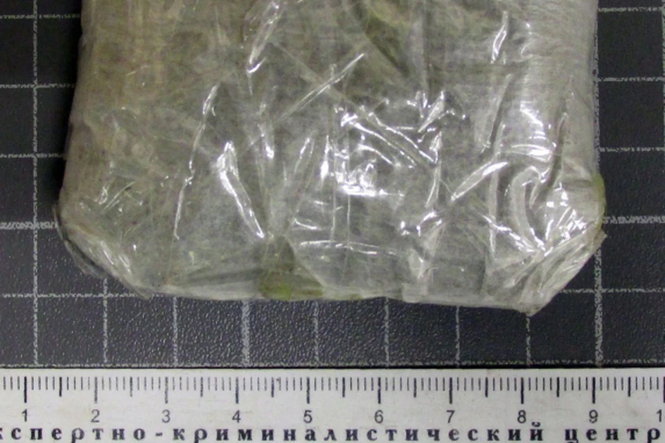 В Липецке полицейские задержали прохожего со свертком марихуаны массой 18,6 грамм