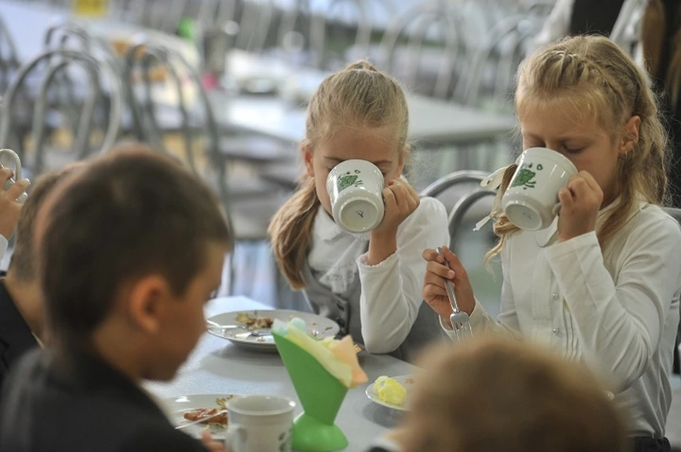 В отношении одного из поставщиков завтраков и обедов в ярославские школы возбуждено уголовное дело.