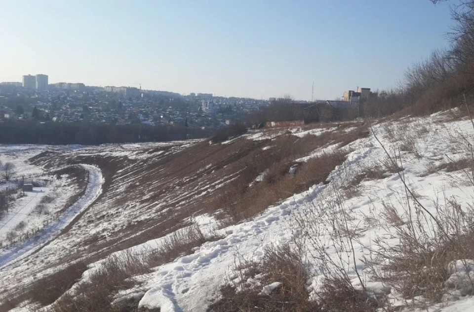 Свалка находилась вблизи деревни Чаплыгина
