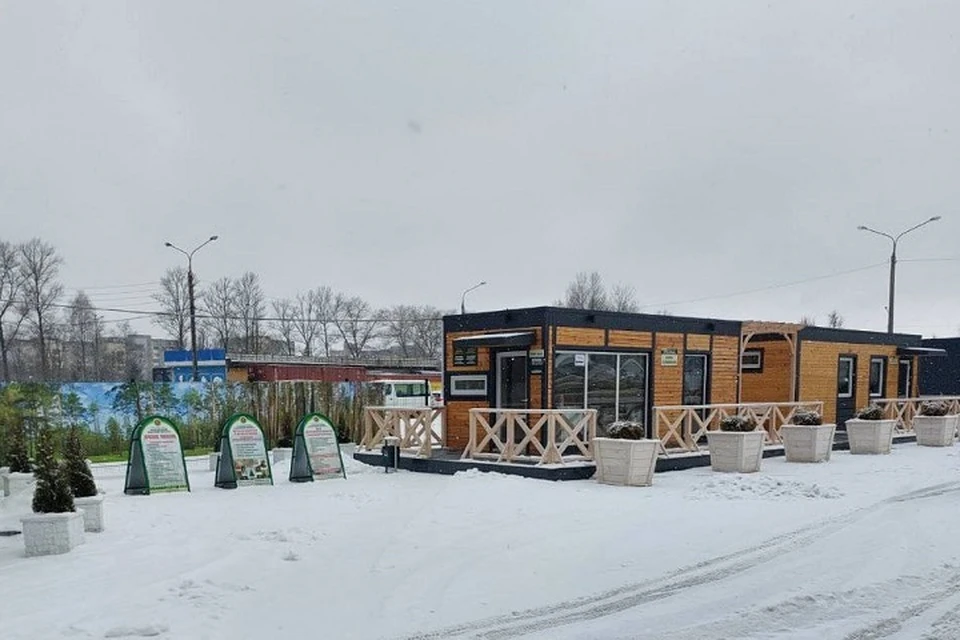 В Минлесхозе сказали, когда в Беларуси начнут продавать доступные деревянные дома. Фото: телеграм-канал Минлесхоза