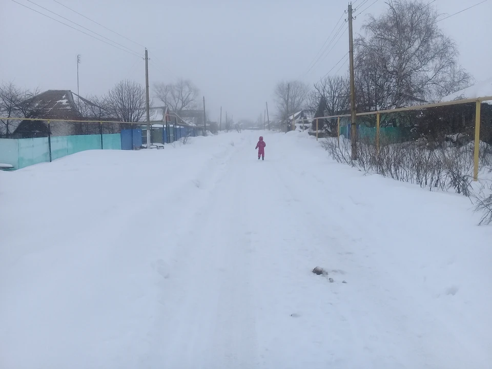 Ночью небольшой, местами умеренный снег, днем местами небольшой снег, мокрый снег.