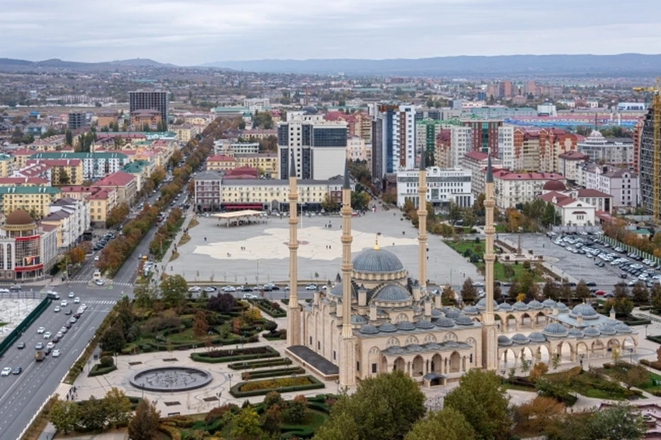 Слабые подземные толчки после турецкого землетрясения зафиксировали в Северной и Южной Осетии, Чечне и Грузии
