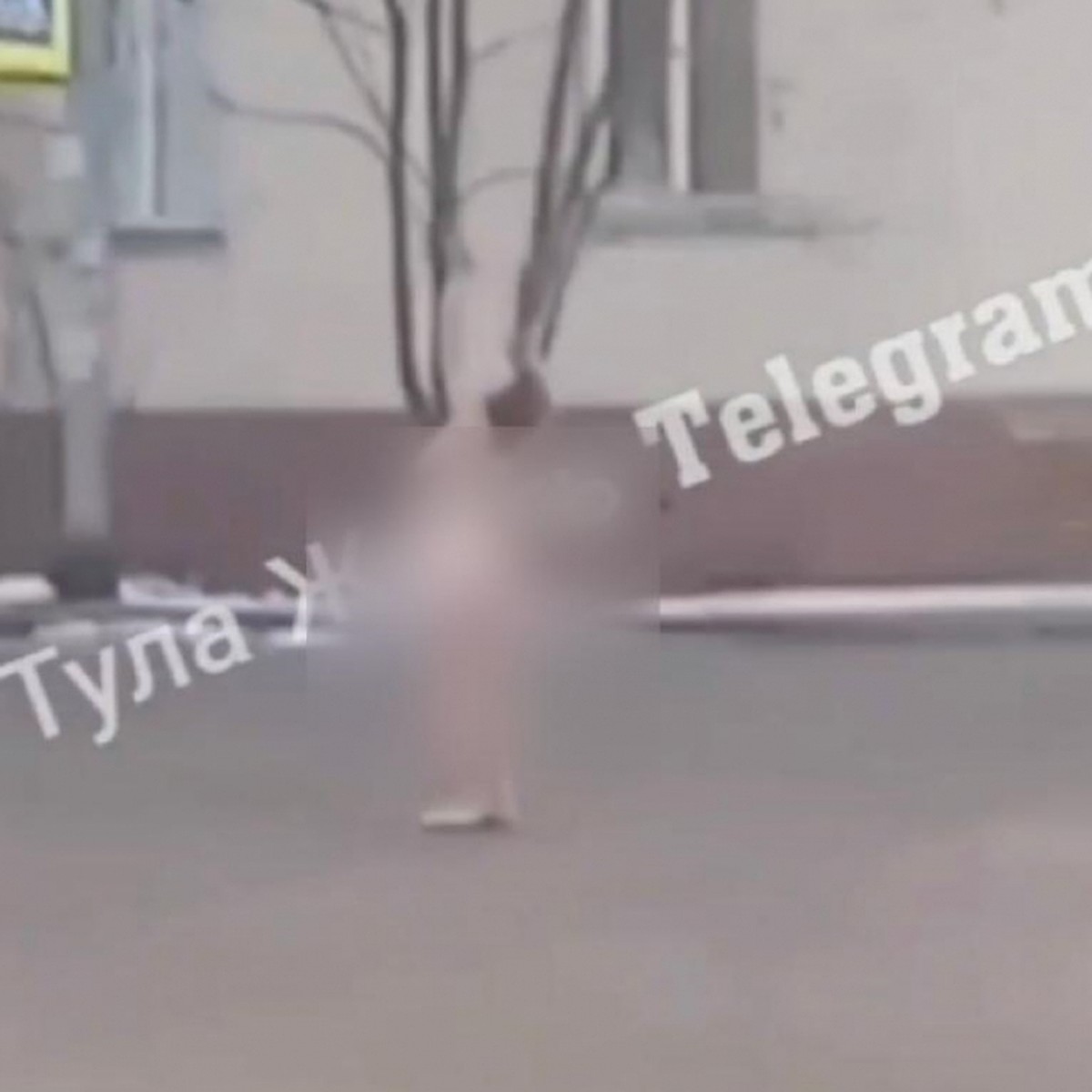 На улице Макаренко в Туле голая женщина бегала за прохожими и машинами -  KP.RU