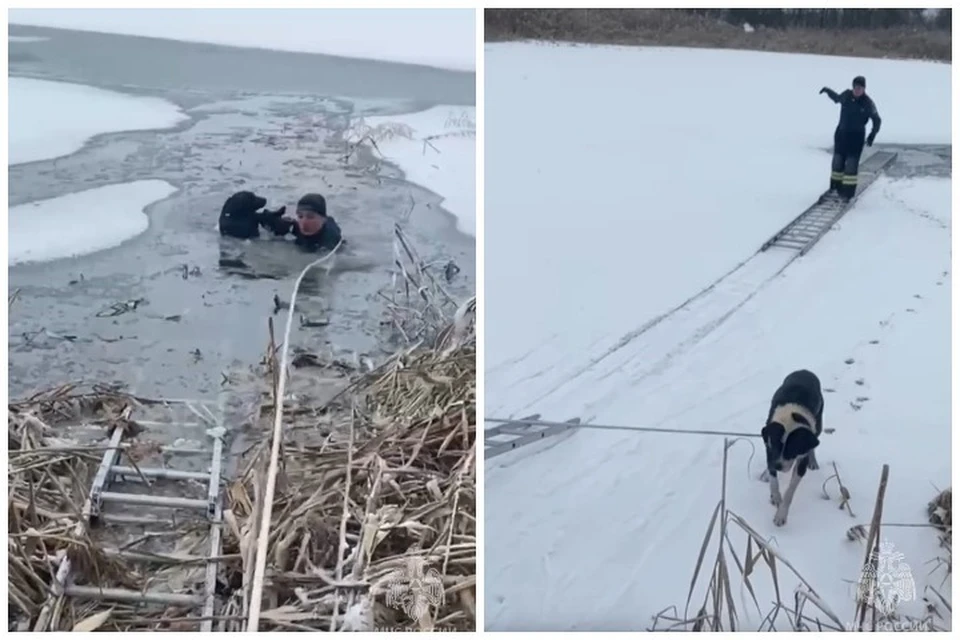 Бедолаги провалились на тонком льду прямо посередине озера. Фото: МЧС по Республике Северная Осетия-Алания.