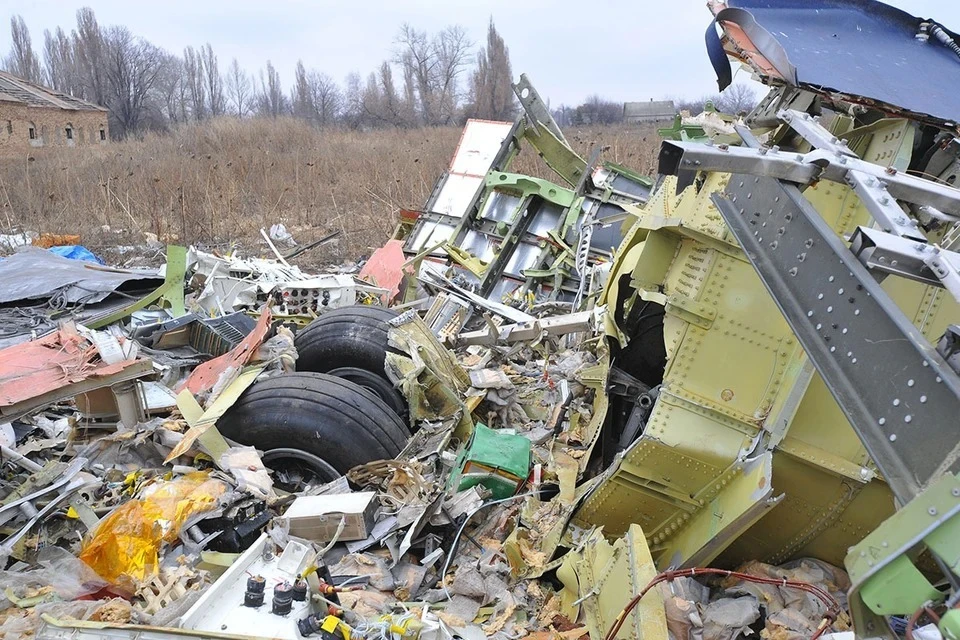 Нидерланды не будут преследовать Путина по делу MH17 из-за его иммунитета главы государства