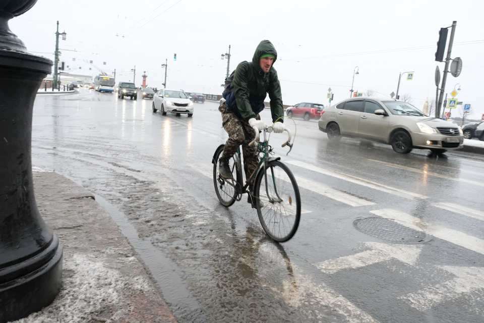 И вновь в Петербурге слякоть.