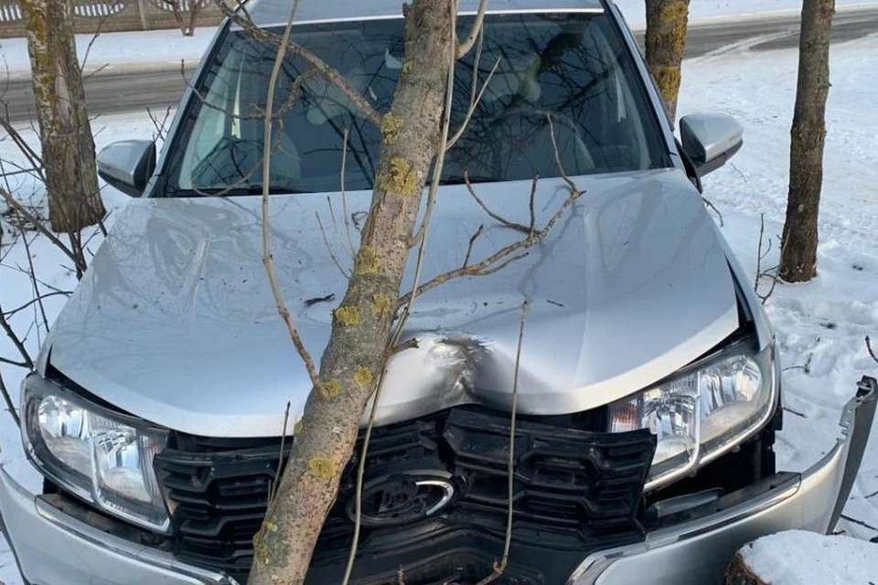 Две школьницы пострадали в ДТП с Нивой и Ладой в селе под Липецком