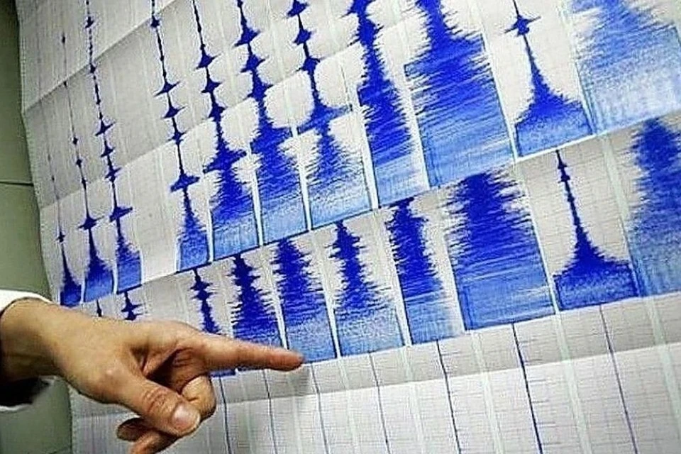 Землетрясение магнитудой 4,4 произошло на границе России и Казахстана