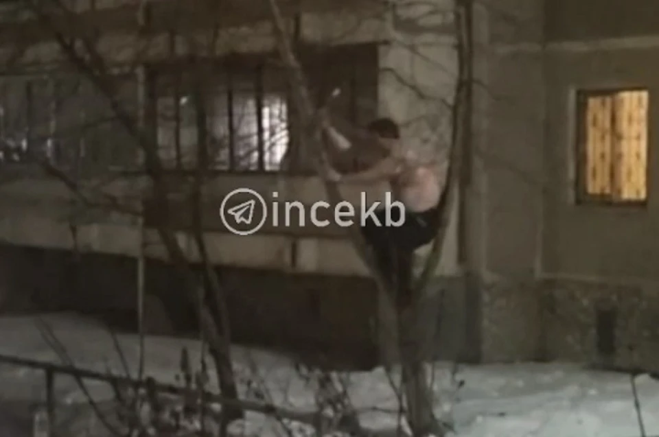 Мужчина залез на дерево, опасаясь, что его могут убить током. Фото: паблик "Инцидент Екатеринбург"