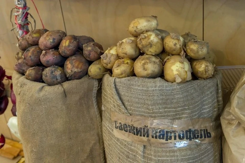 Минсельхозпрод р��ссказал, сколько картофеля выращивают в Беларуси - KP.RU