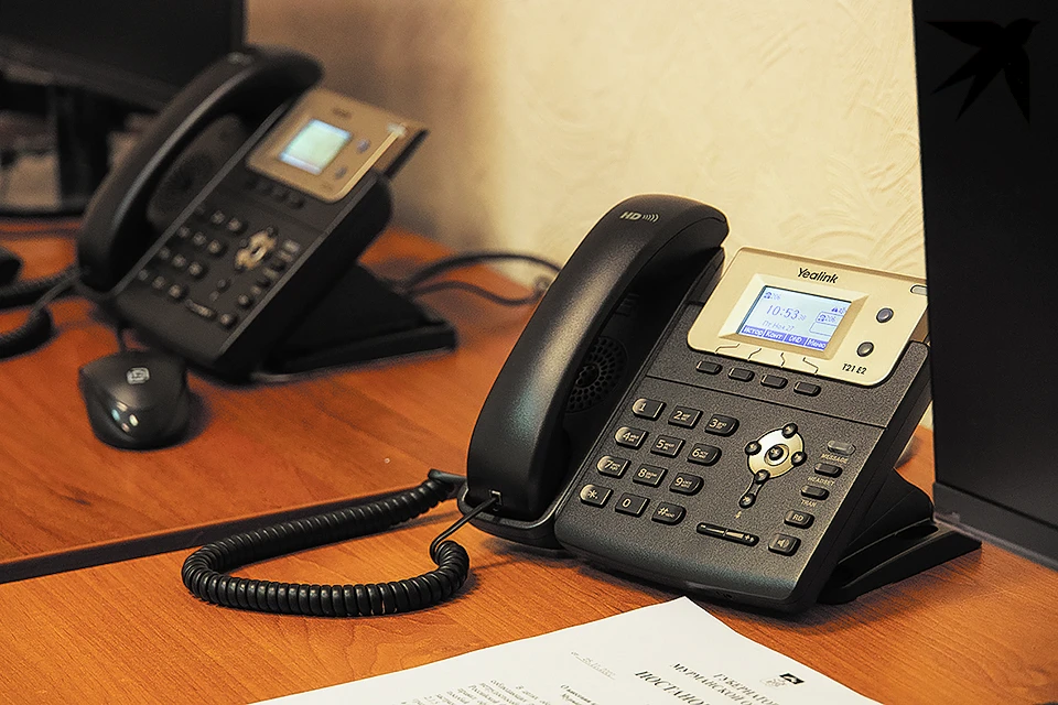 Позвонить можно по трем телефонным номерам: +7 (8152) 680-397; +7(8152) 680-368; +7 (8152) 680-485.