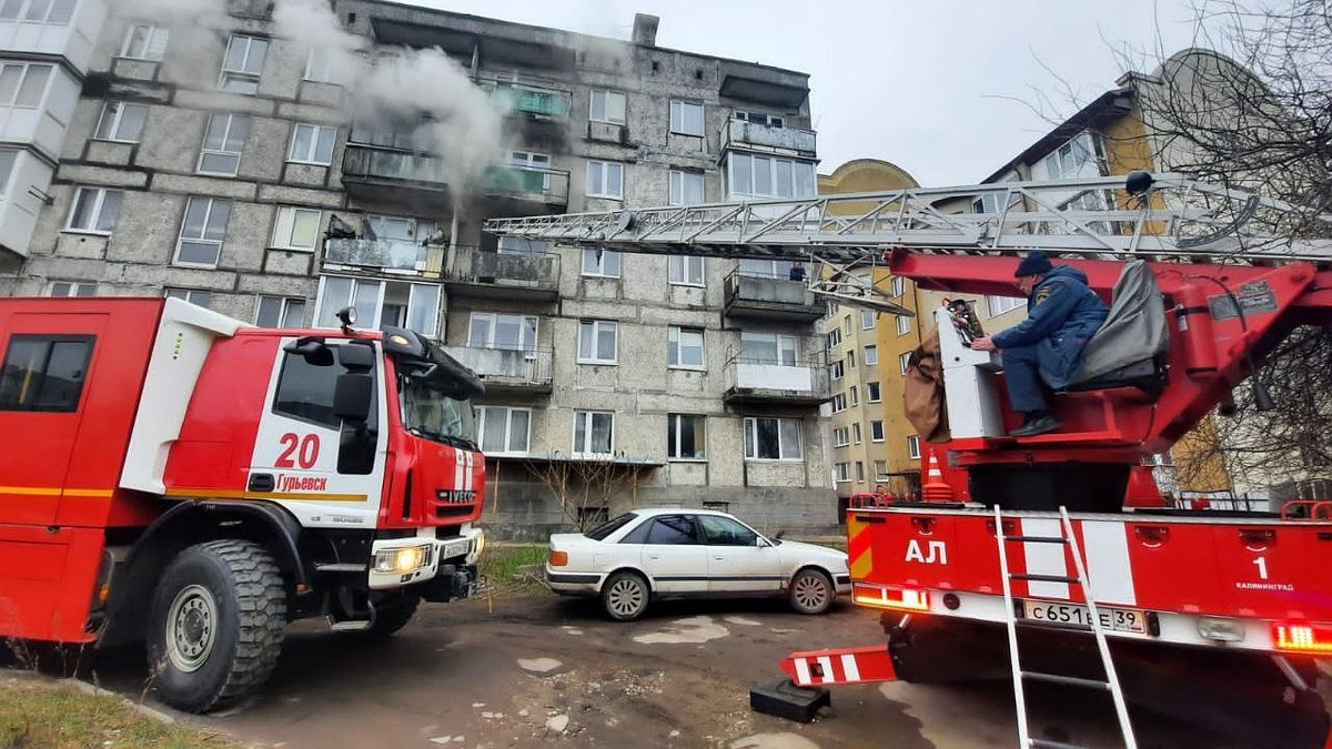 В МЧС рассказали подробности пожара в Васильково - KP.RU