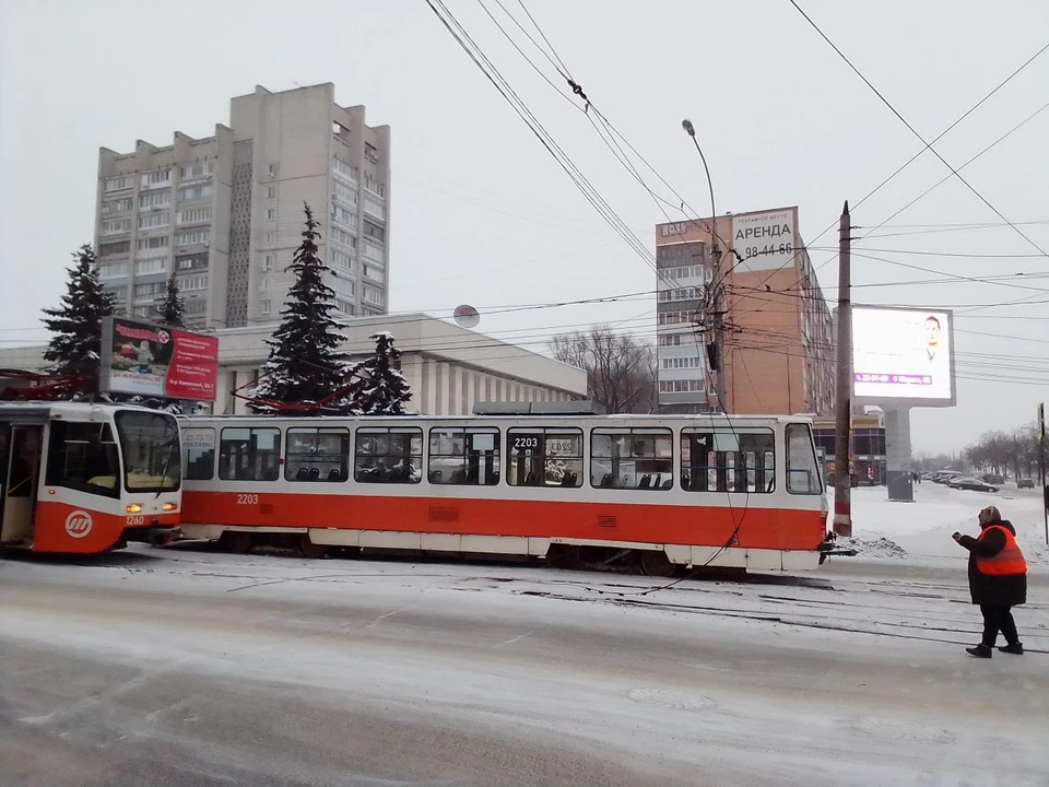 Фото: тг-канал Симбирский шугожор