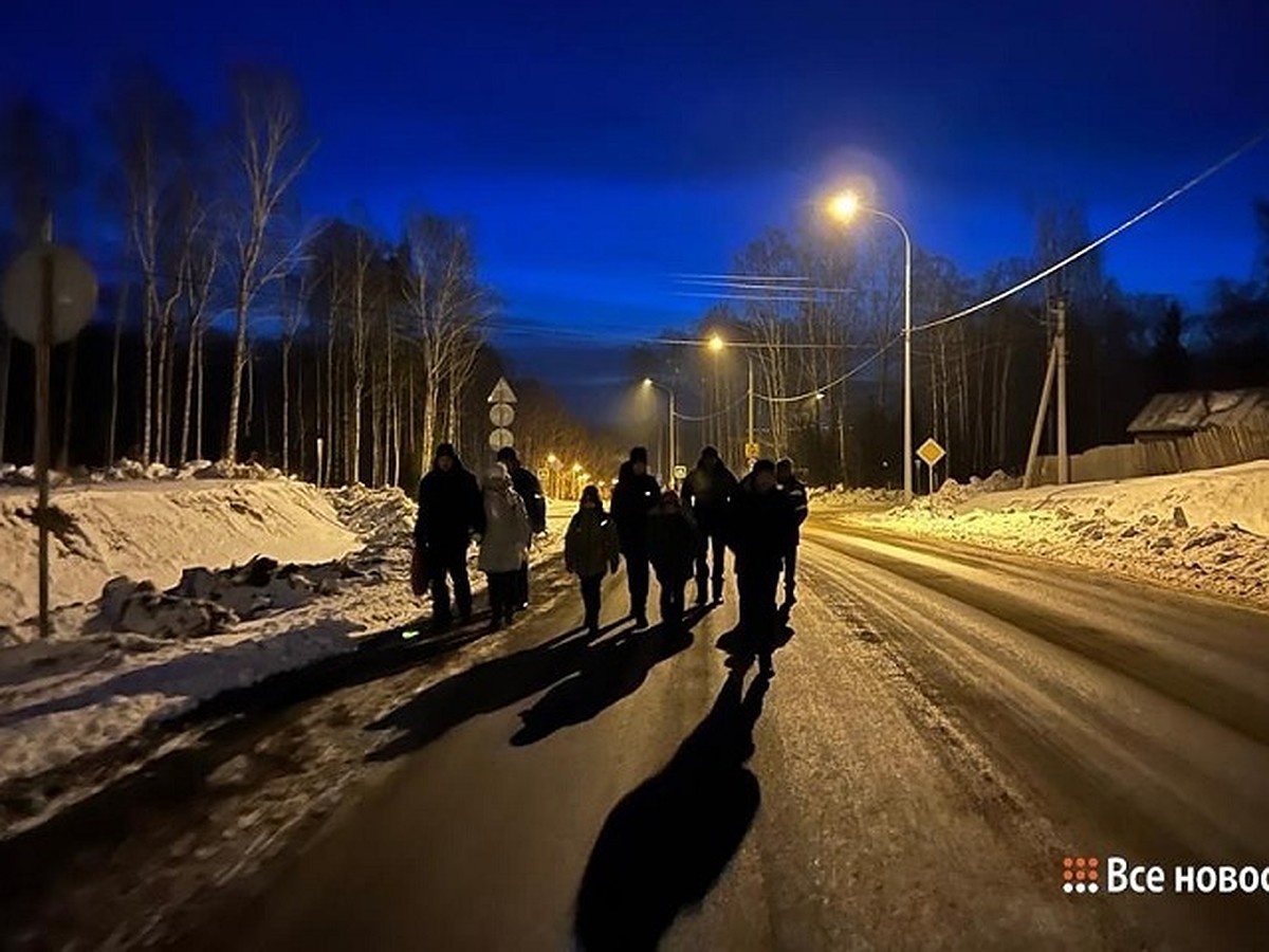 В поселке под Нижним Тагилом дети добираются до трассы пешком через лес,  чтобы уехать в школу - KP.RU