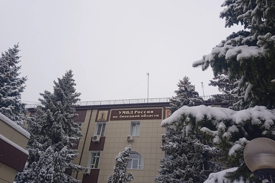 Полицейские задержали мошенницу