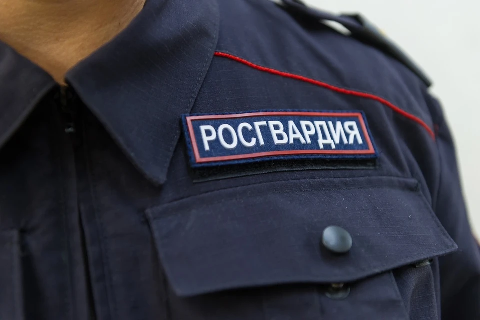 Мальчика нашли сотрудники Росгвардии