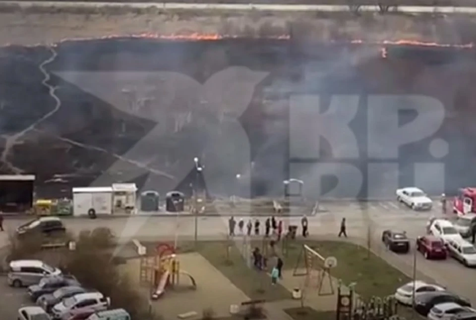 Фото: скриншот видео