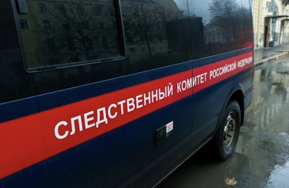 СК выявил новые эпизоды преступной деятельности экс-ректора Смоленского физуниверситета Георгия Греца.