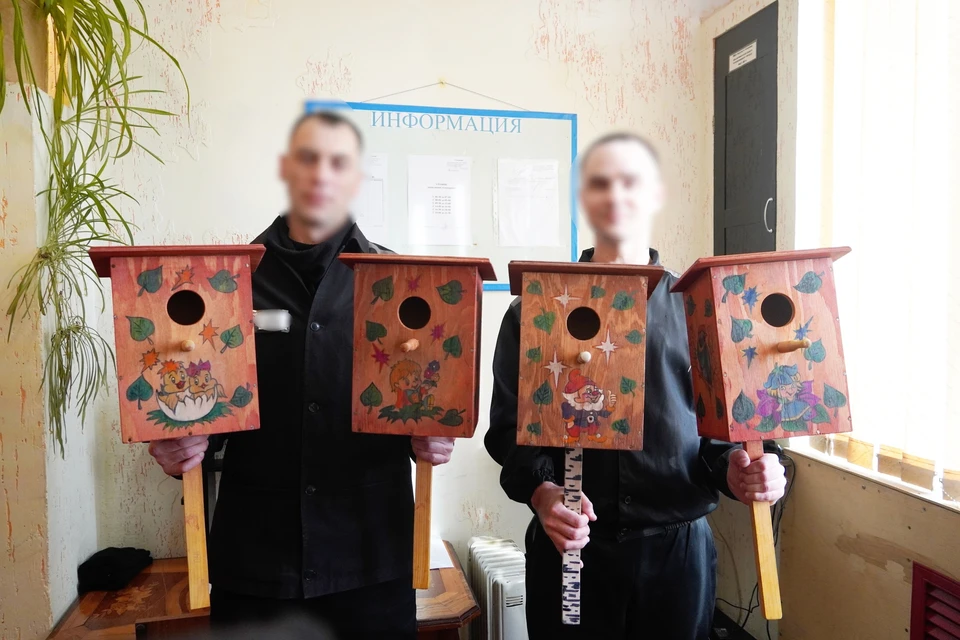 скворечники осужденные передадут воспитанникам детского дома