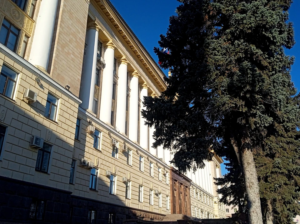 Липчанка не была готова отдать ребенка в центр помощи, как ей посоветовали чиновники