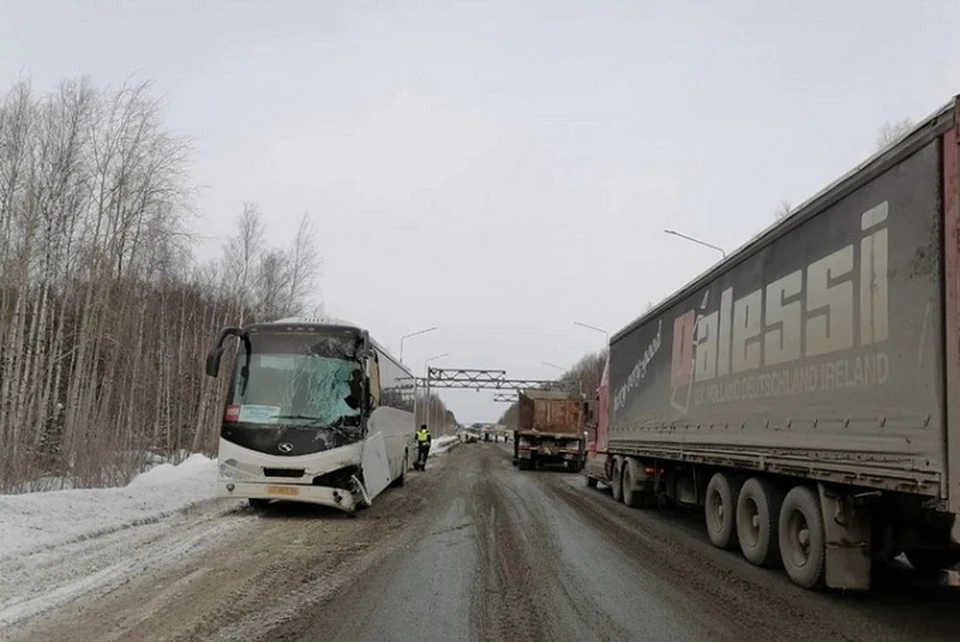 Фото: УГИБДД по Свердловской области