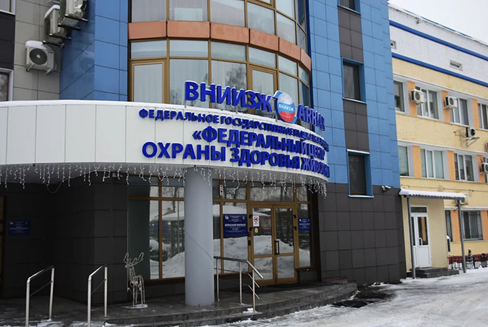 Фото: ФГБУ «ВНИИЗЖ».