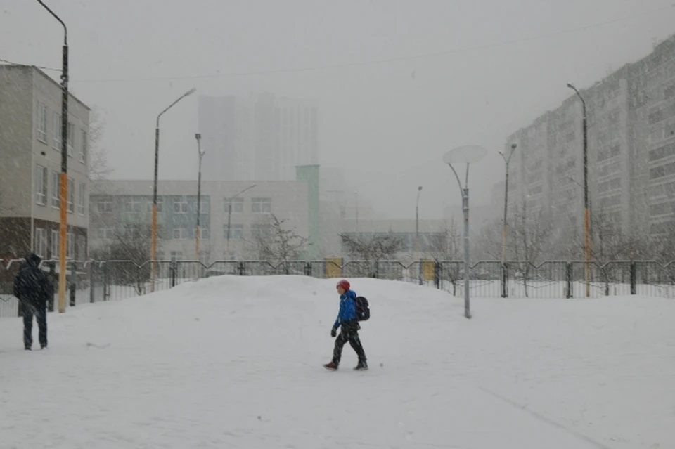 Снегопад в городе