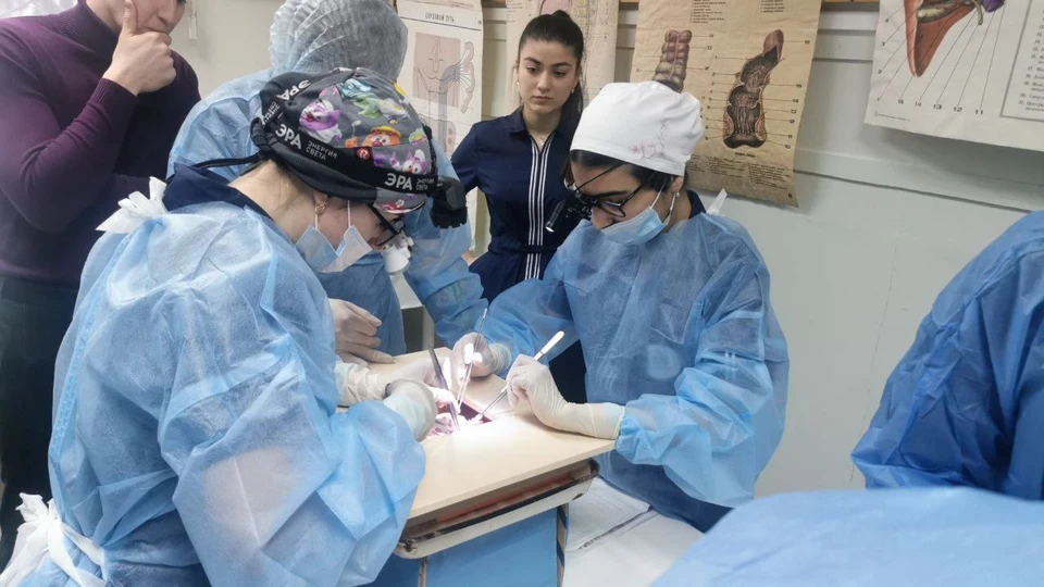 В медицинской олимпиаде по хирургии победили студенты из Хабаровска Фото6 минздрав хабаровского края