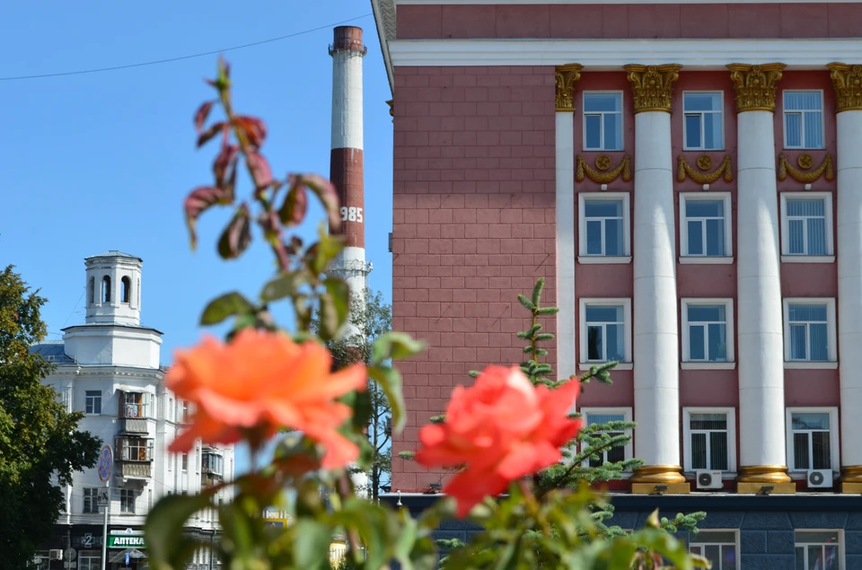 Исполнение обязанностей министра сельского хозяйства Курской области возложили на первого заместителя