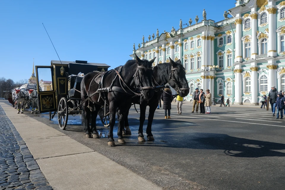 Когда кони вернутся на Дворцовую - неизвестно.