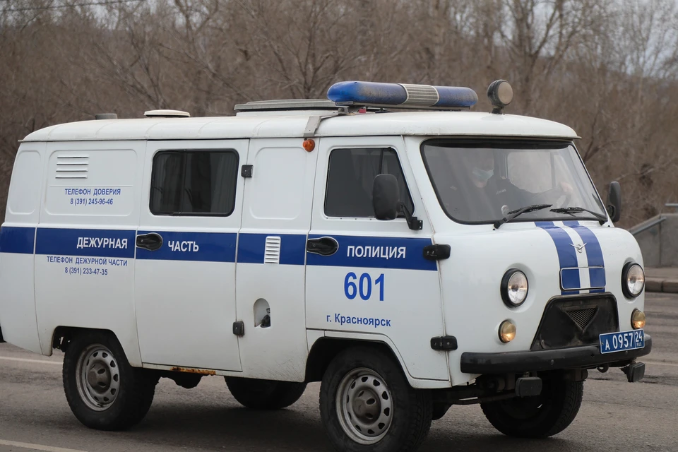 В Красноярске будут судить серийного грабителя-сумочника