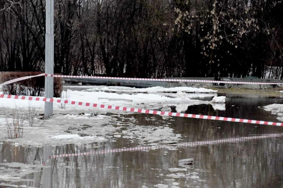 В Новомичуринске затопило почти все улицы. Фото: издательство «Пресса».